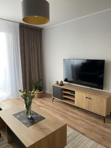 Apartament Centrum II Лидзбарк-Варминьский Экстерьер фото